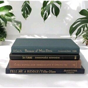 Set Of 4 Books Decor Color Coding Moody Academia Hardcover Home Staging Library